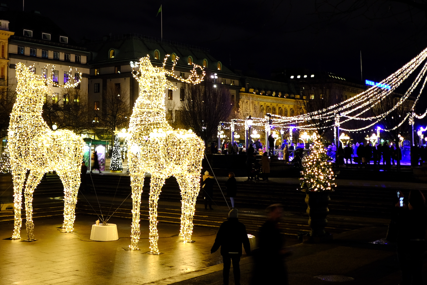 Addobbi natalizi riempiono di luci i quartieri del centro della capitale svedese.