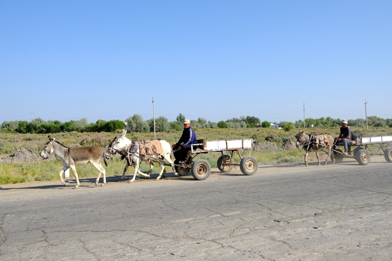 Il paesaggio rurale nei dintorni di Nukus.