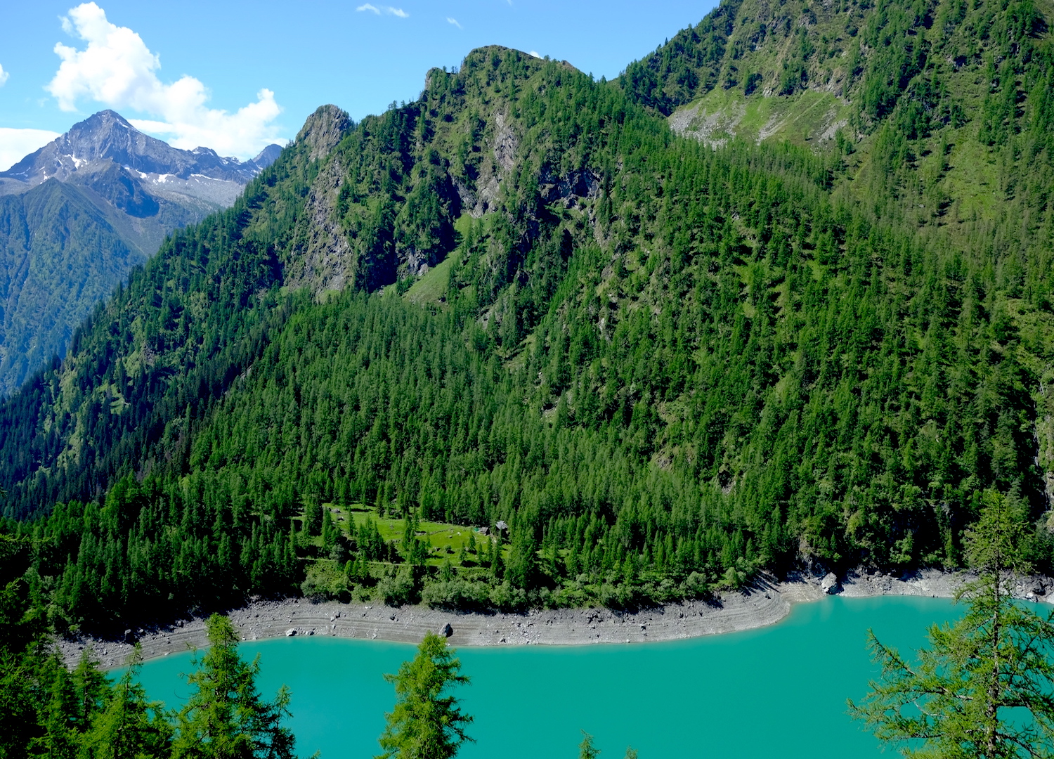 Pittoresca immagine del lago Alpe dei Cavalli, circondato dalle montagne alpine ricoperte di alberi.