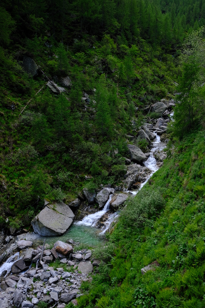 Il torrente Olocchia che corre lungo pendii scoscesi, circondato da una fitta vegetazione.