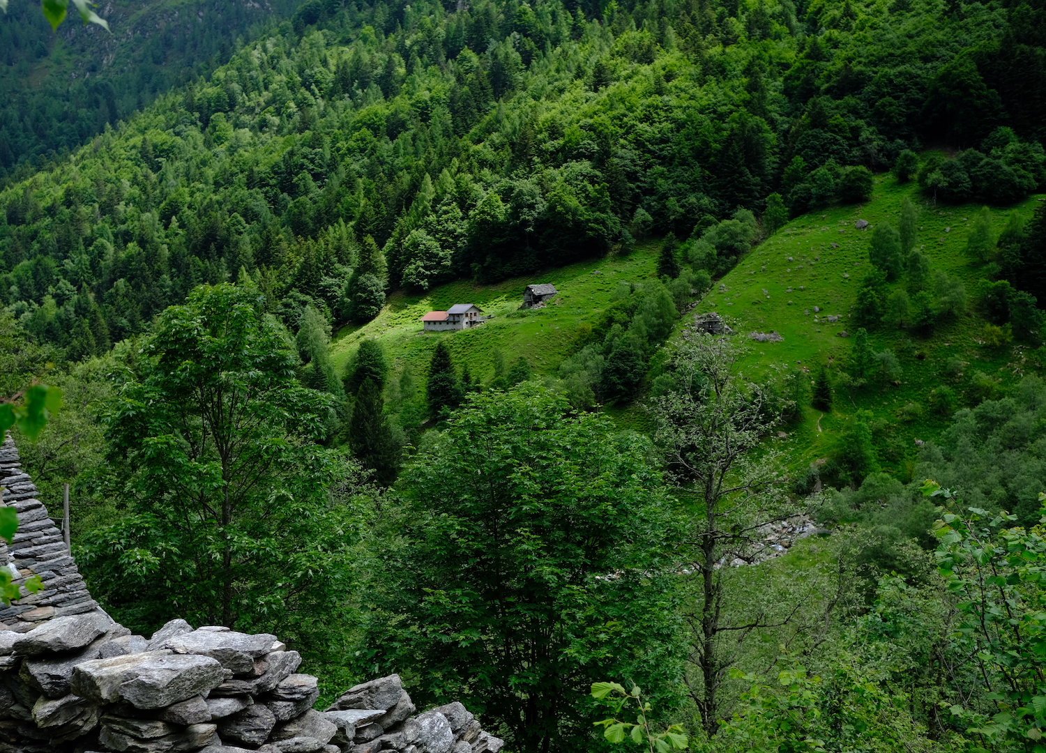 Piccolo alpeggio vicino al punto di partenza dell'escursione, subito dopo l'Alpe Bocchetto.