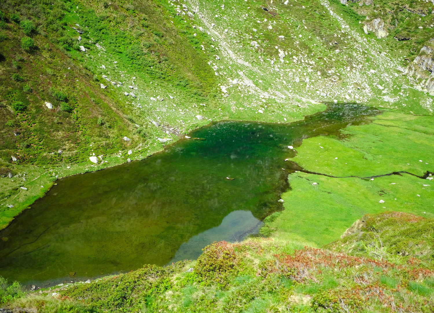 Il lago Baranca.