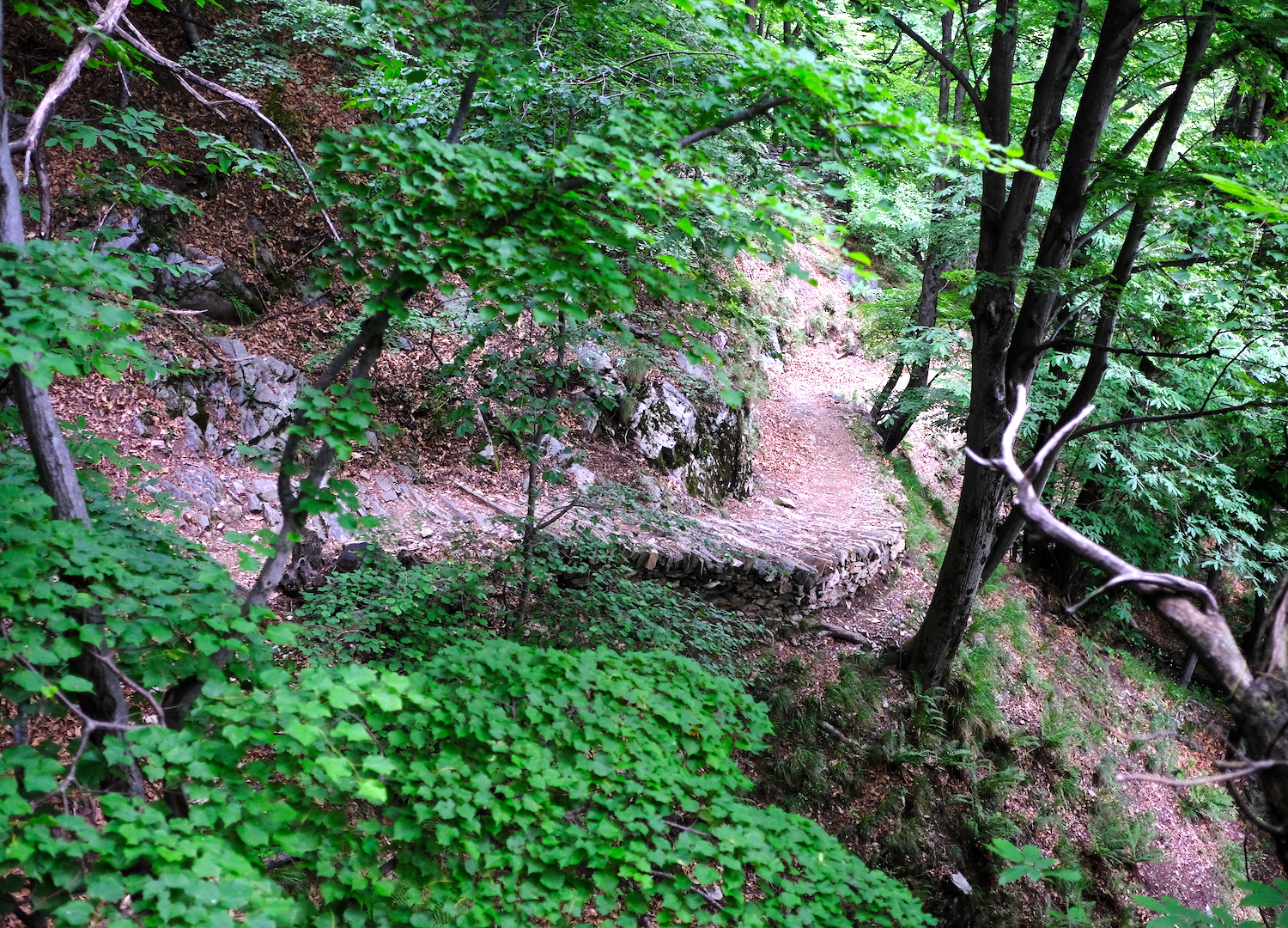 La via Sutermeister che porta a Pogallo, costruita con grande ingegno nella seconda metà dell'800.