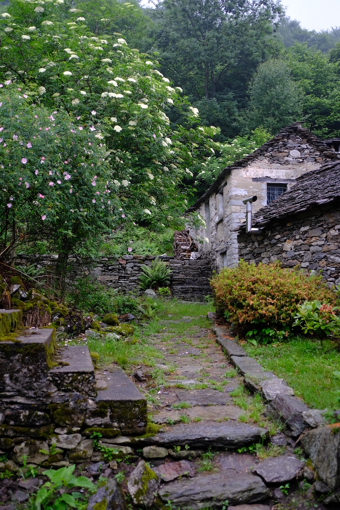 Un angolo fiorito di Pogallo.