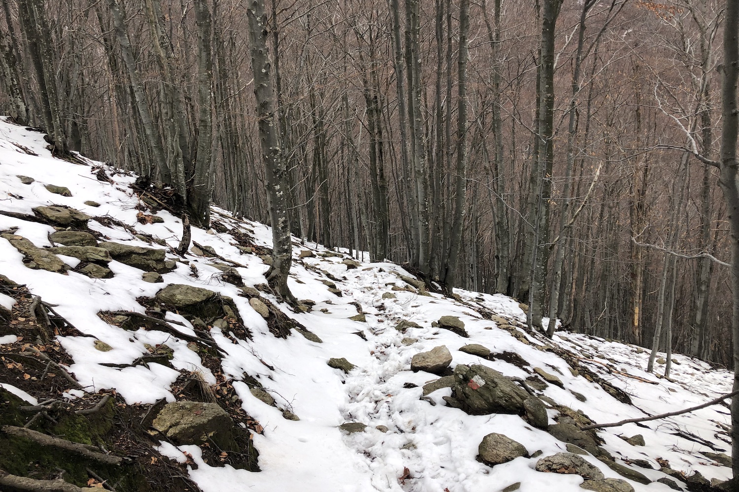 Sentiero che dall’Alpe Pra raggiunge l’abbandonata Alpe Leciuri e discende verso Pogallo.