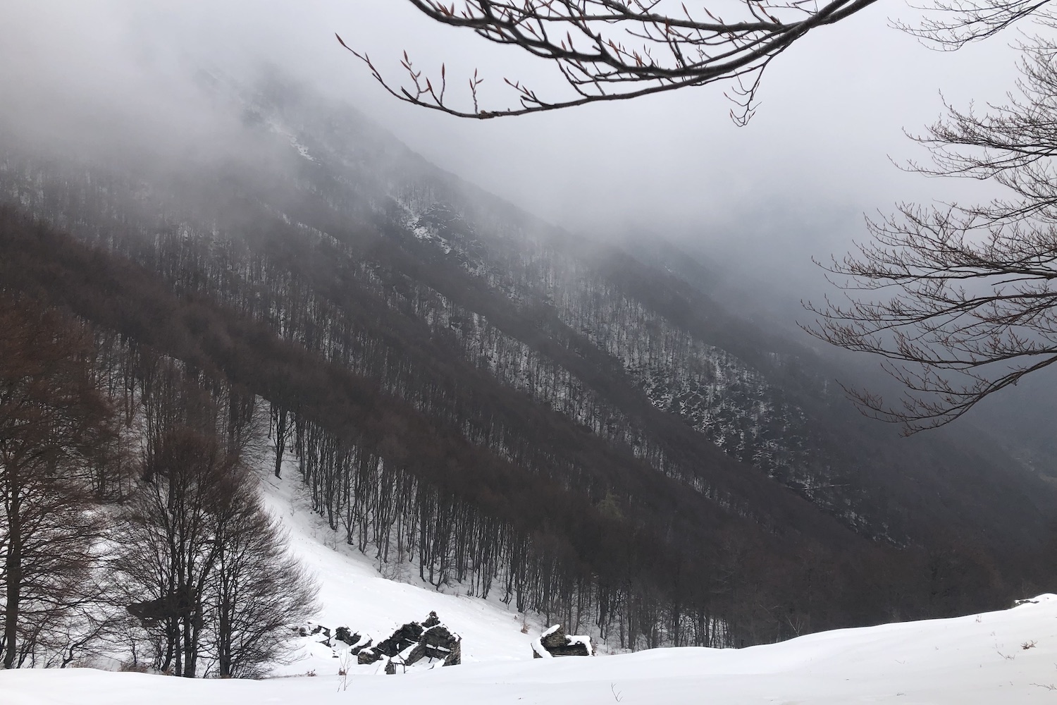 Nevicata di fine inverno che ricopre le pendici di cima Sasso.